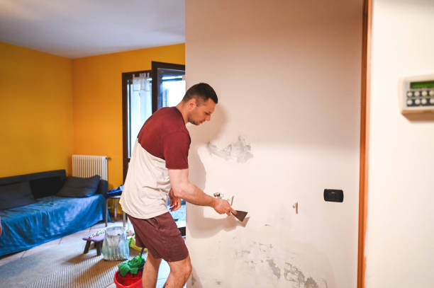 Best Insurance-Related Mold Remediation in Hunter, OH